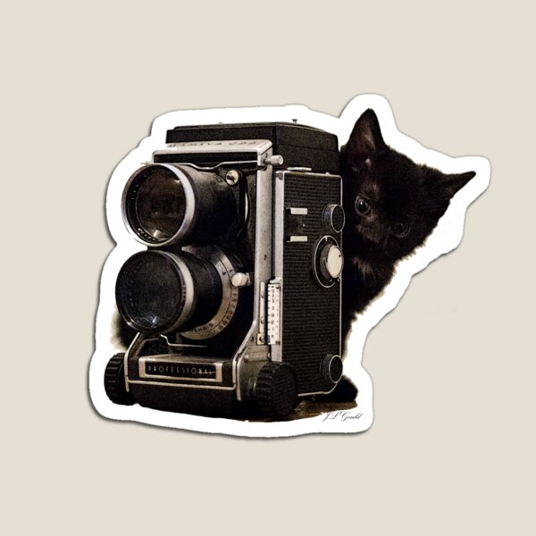Feline Photographer Magnet