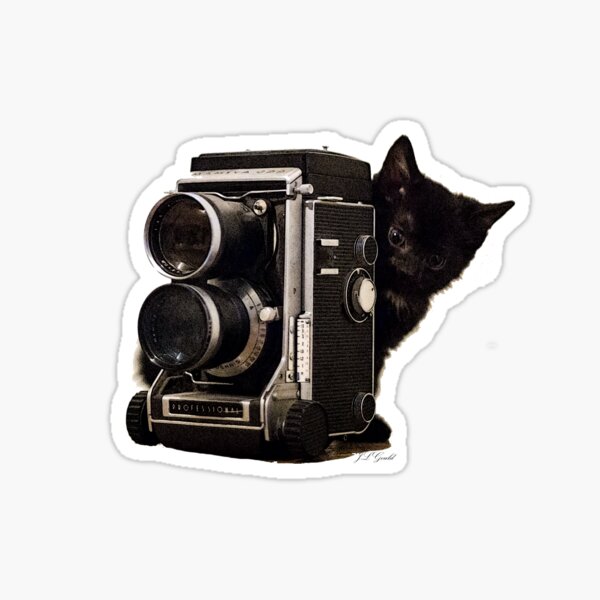 Feline Photographer Sticker