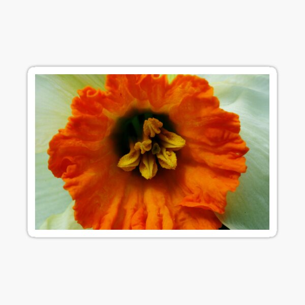 Item preview, Stamens designed and sold by lumiwa.