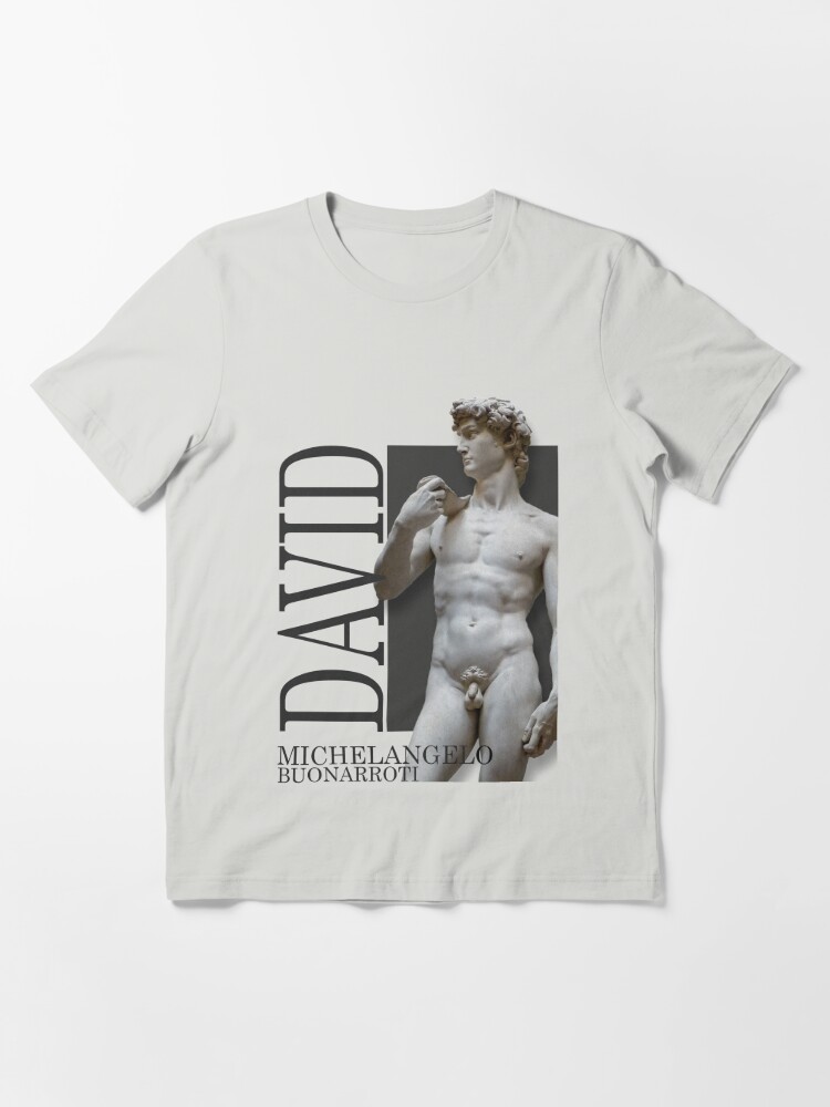 michelangelo david t shirt