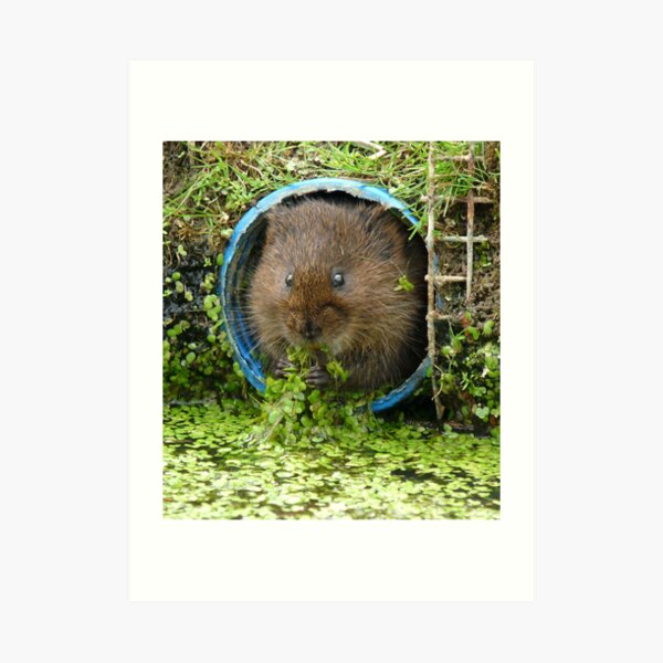 Eat your greens! Art Print