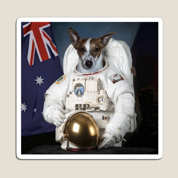 First Dog on the Moon First Dog on the Moon