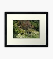 Who? Framed Print
