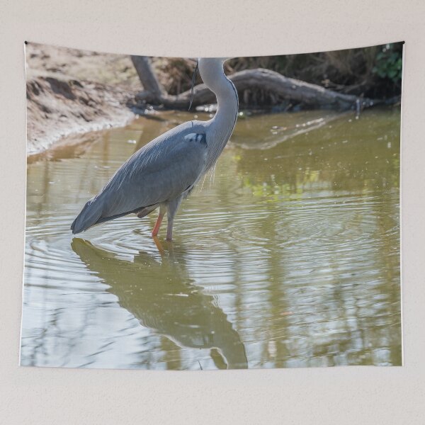 Item preview, Gray heron reflected in the water of the pond designed and sold by brambillasimone.