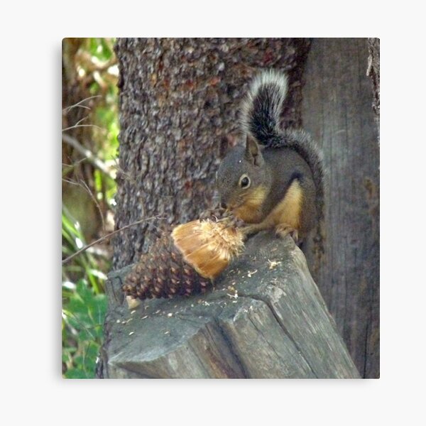 Super-size me! Canvas Print