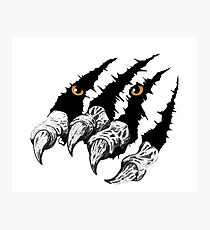 Tiger Claw Wall Art | Redbubble