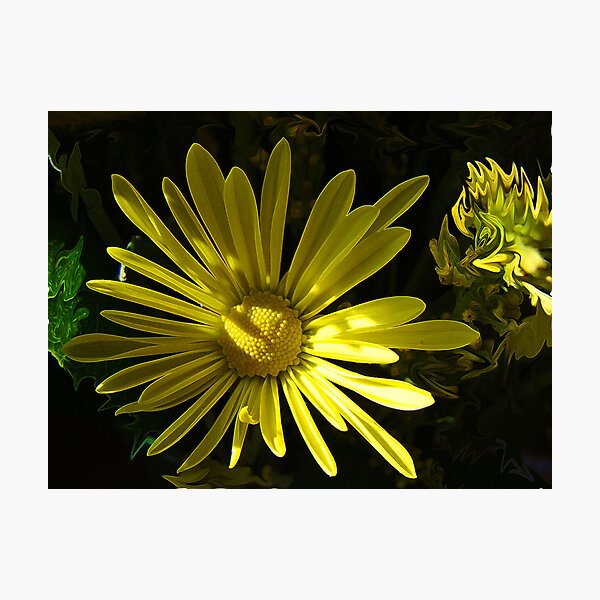 Item preview, Yellow Petals designed and sold by Beaches50.