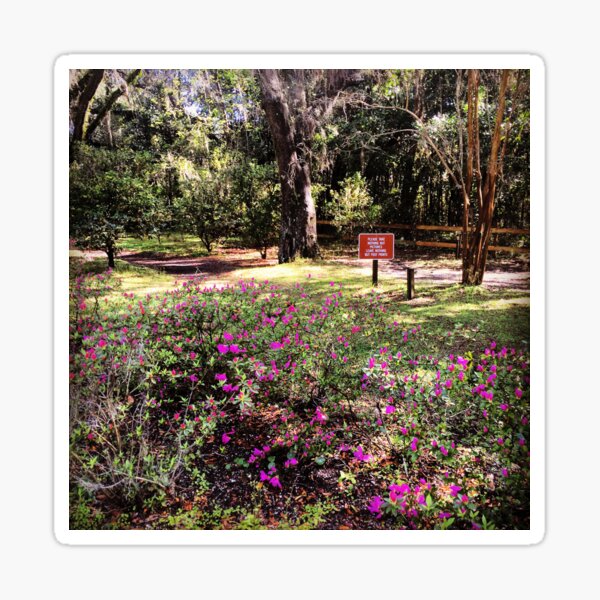 The Meadow Sticker
