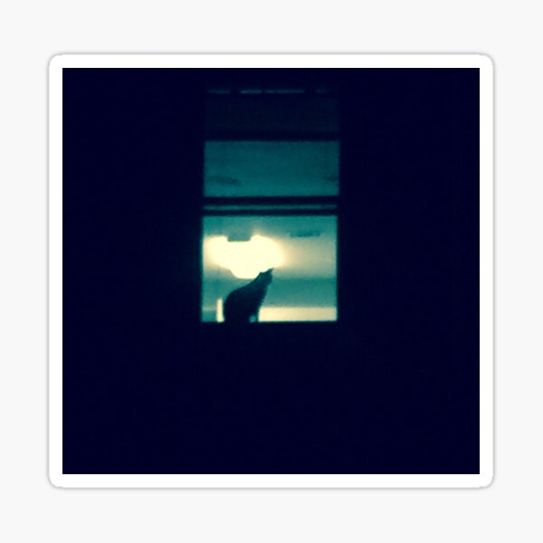 Creepy Cat in the Window Sticker