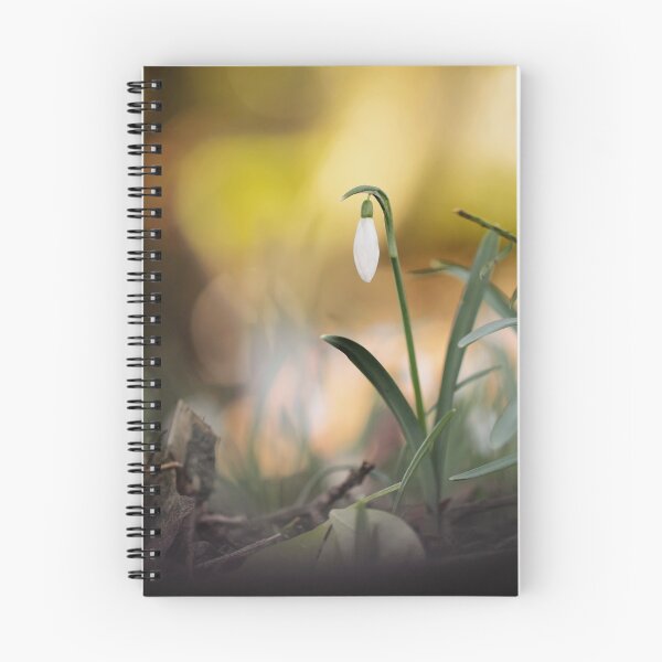 Item preview, Bowed designed and sold by Tracy Friesen.