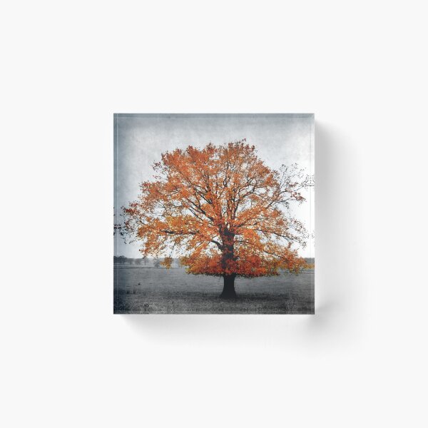 Item preview, A Tree in Autumn designed and sold by rosedew.