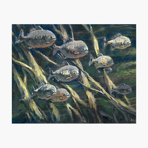 Item preview, Piranha fish.  designed and sold by kira-culufin.