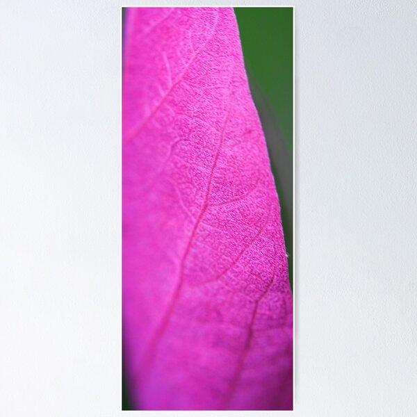 Item preview, "PURPLE LEAF" (in hot pink) - macro designed and sold by Justine Walke.