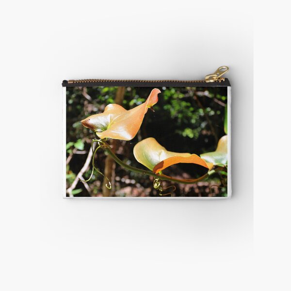 Item preview, New growth along the Gondwana Rainforest Walk designed and sold by myraj.