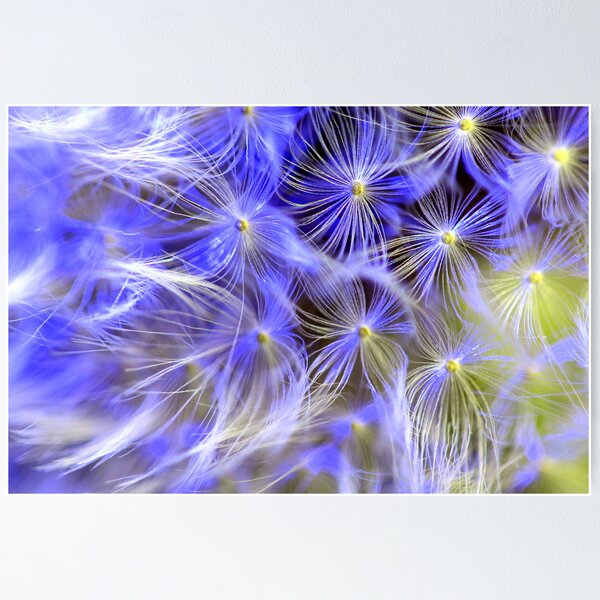 Artikelvorschau, Just a Dandelion!! entworfen und verkauft von Gary Boudreau.