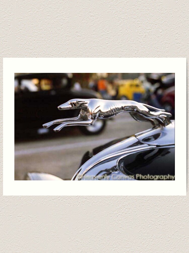 “1934 Ford Roadster Greyhound Hood Ornament” Art Print for Sale by