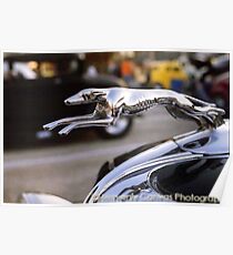 1934 Ford Roadster Greyhound Hood Ornament Poster