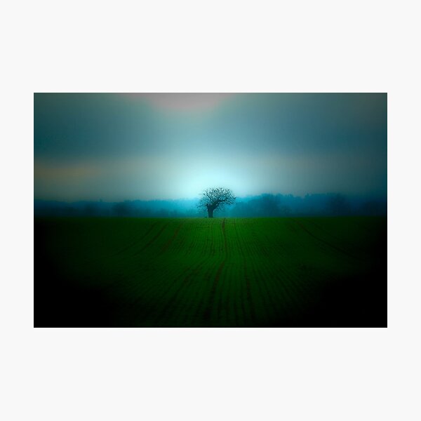 L'Arbre Photographic Print