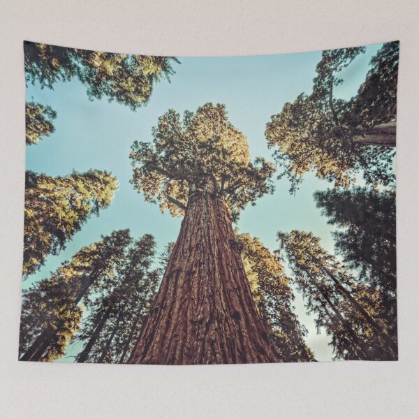 Item preview, Forest Sky - Redwoods Sequoia General Sherman Tree designed and sold by artcascadia.