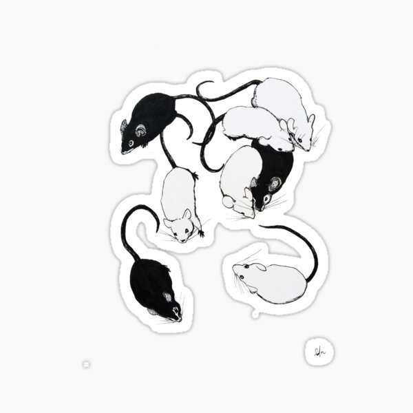 lab salad Sticker