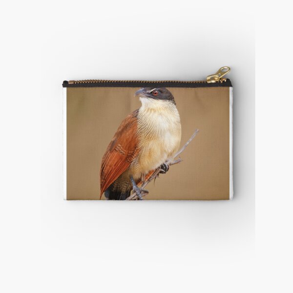 Item preview, Burchell's coucal (Rainbird) designed and sold by Johan Swanepoel.
