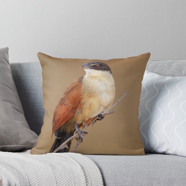 Item preview, Burchell's coucal (Rainbird) designed and sold by Johan Swanepoel.