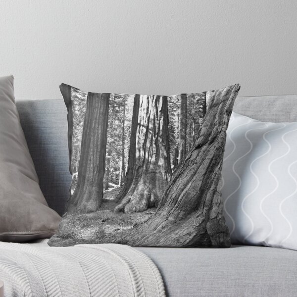 Item preview, Sequoias designed and sold by ejlinkphoto.