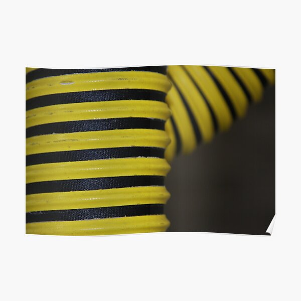 Hose in Yellow and Black Poster