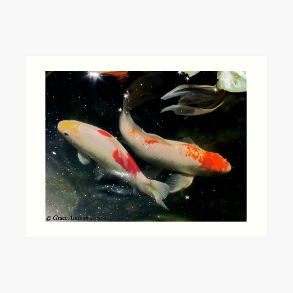 Koi in Space Art Print