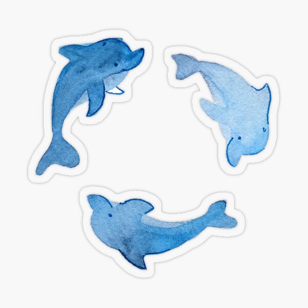Dolphin Stickers and Pattern Transparent Sticker