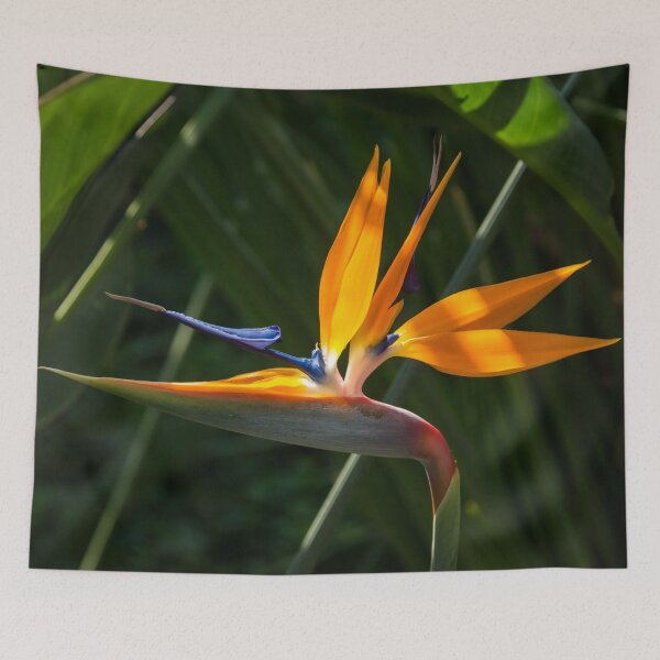 Item preview, Jewel from the Jungle - a Singular Bird of Paradise designed and sold by Georgia Mizuleva.