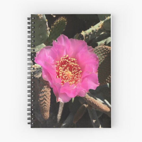Item preview, Perfect Pink Prickly Pear Flower designed and sold by PricklyOctopus.