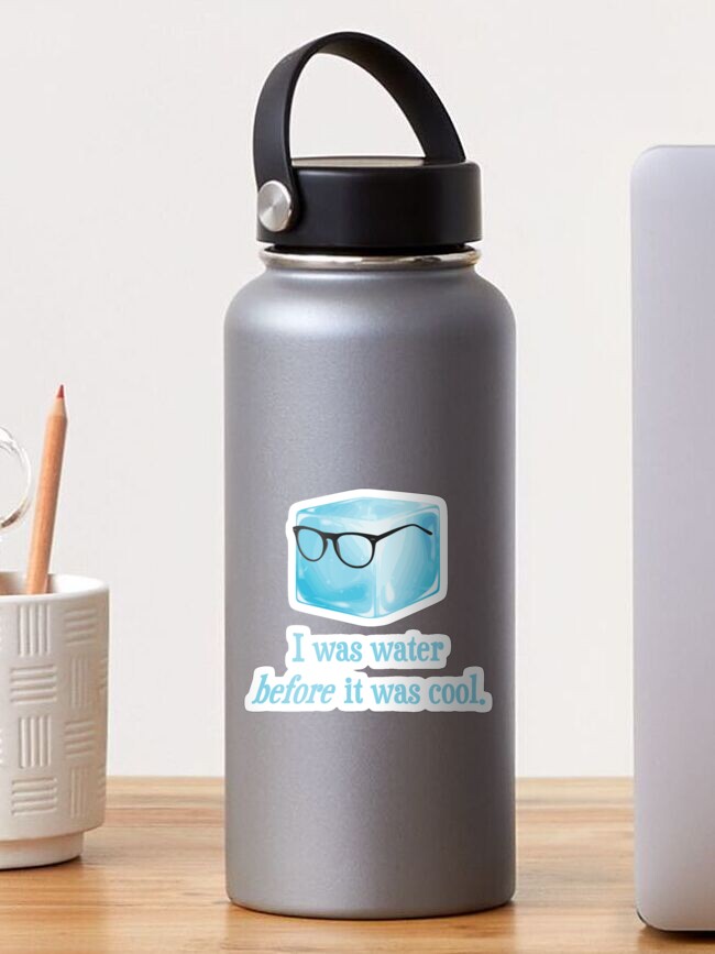 Hipster Stainless Steel Water Bottle