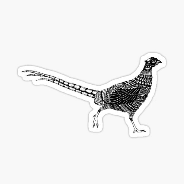 Pheasant Sticker