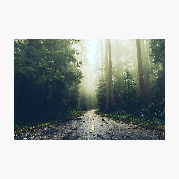 Item preview, Green Forest Fog Road Wanderlust - California Redwoods Road Trip designed and sold by artcascadia.