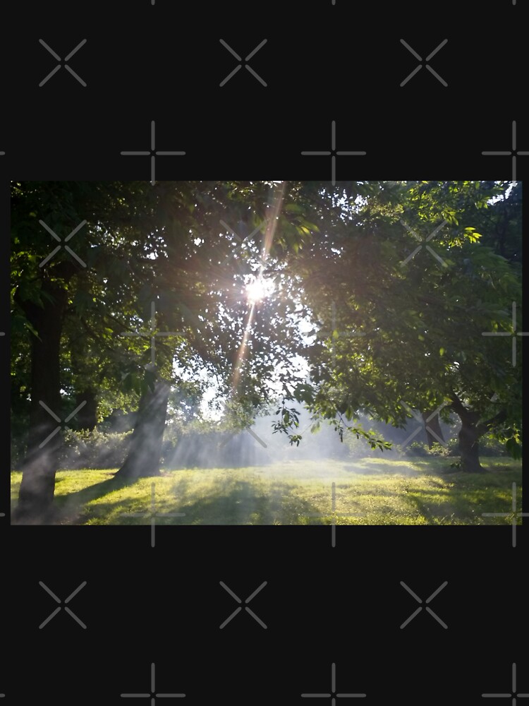 M.I. #11 |☼| Smoky Tree Sun Rays - Landscape Shot (Pearson Park) by Naean