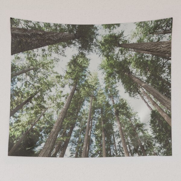 Item preview, Forest Sky - Green Trees Reaching into the Clouds designed and sold by artcascadia.