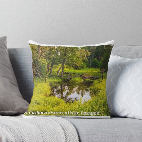 Item preview, Wetlands designed and sold by Nicholas Costanzo.