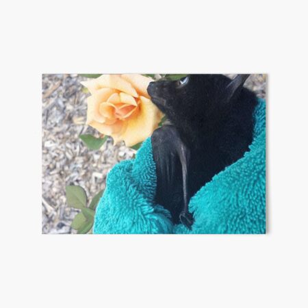 Item preview, Gorgeous Baby Bat Alegria Smelling A Rose. designed and sold by BabyBats.