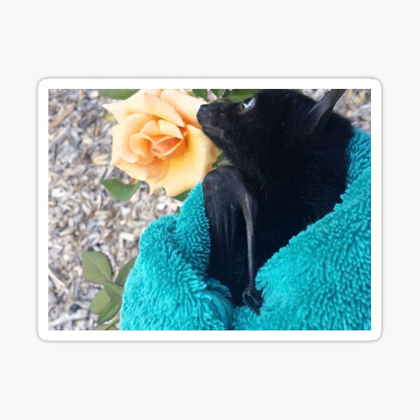 Item preview, Gorgeous Baby Bat Alegria Smelling A Rose. designed and sold by BabyBats.