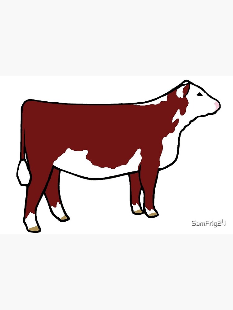 Hereford Heifer Sticker (color) Art Board Print for Sale by SamFrig24