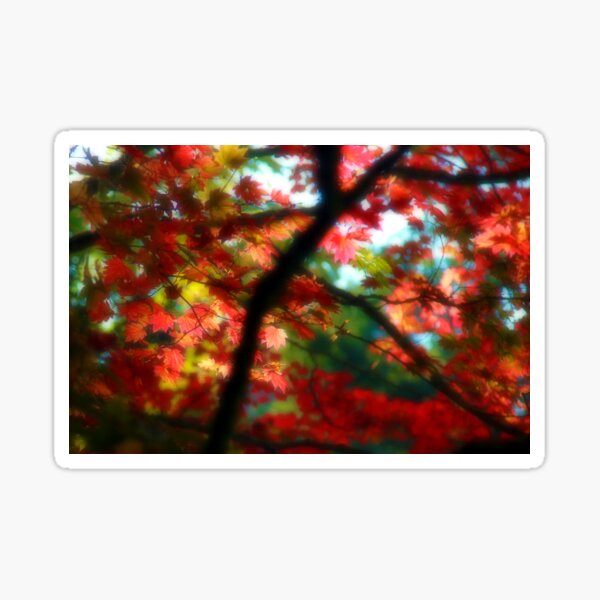 Dream Leaves Sticker