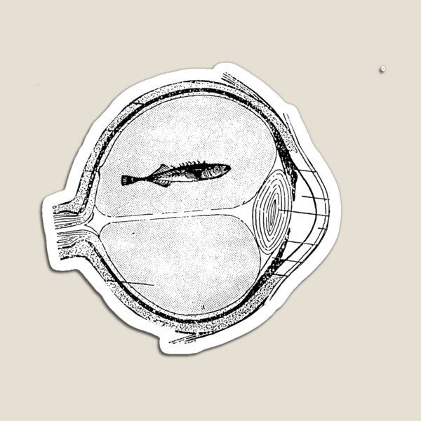 Fish Eye Magnet