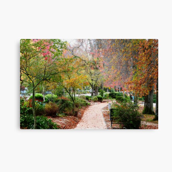 Item preview, ~ Stirling II ~ designed and sold by LeeoPhotography.
