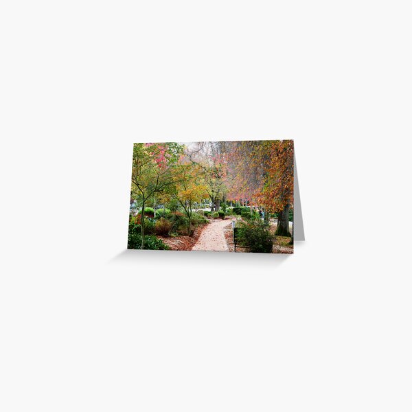 ~ Stirling II ~ Greeting Card