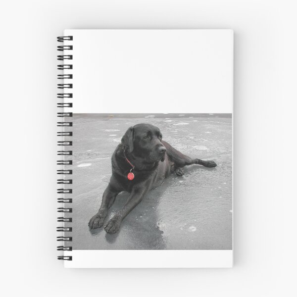 Item preview, Dog on Ice designed and sold by jsachs99.