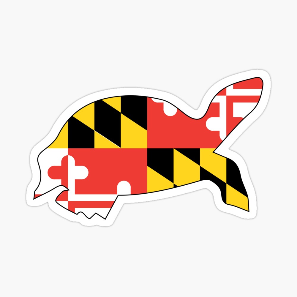 Football Helmet with Maryland Flag and Raven Colors Kids T-Shirt for Sale  by canossagraphics