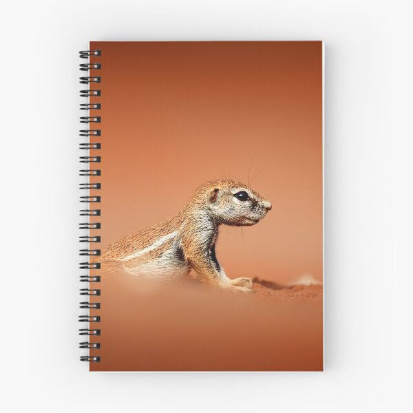 Item preview, Ground squirrel on red desert sand designed and sold by Johan Swanepoel.