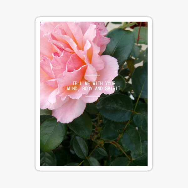 one direction - over again lyrics Sticker