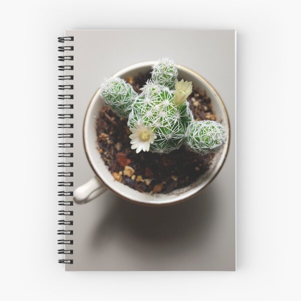 Item preview, Thimble Cactus  designed and sold by soliloquywriter.